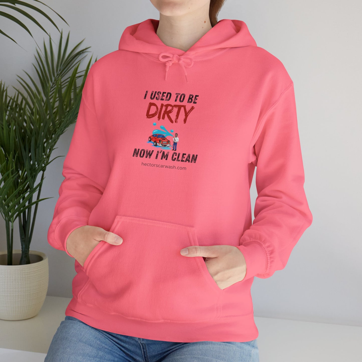 Hectors' 'I Used to Be Dirty Now I'm Clean' Hoodie - Unisex Heavy Blend Sweatshirt